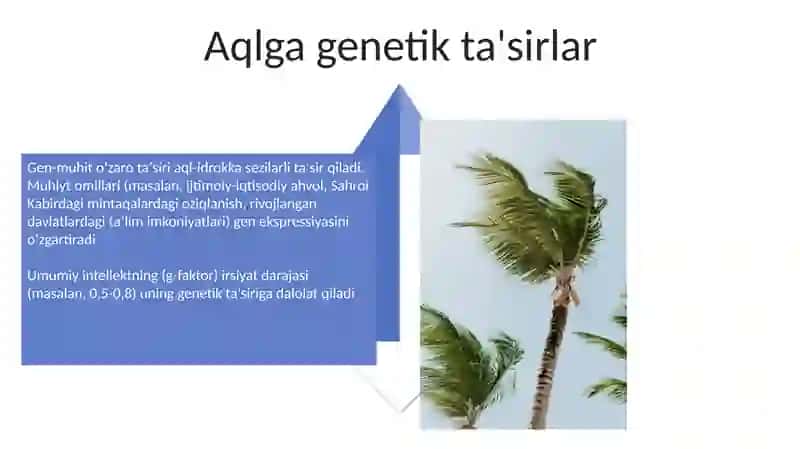 Intelekt haqida tushuncha 4