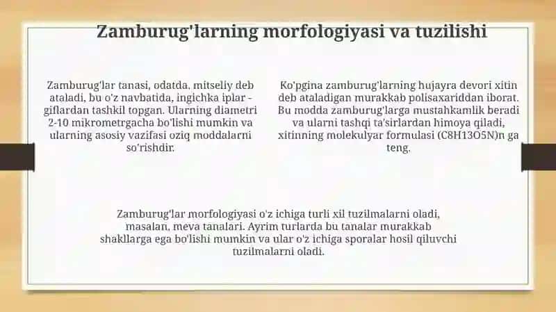 Zamburug‘lar, sodda jonivorlar 4