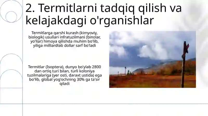 Termitlar turkumi- Isoptera 4