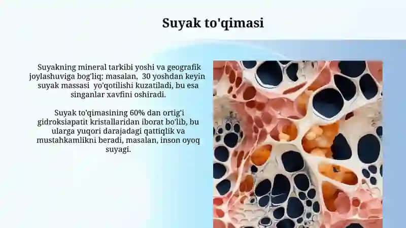 Tog'ay va suyak to'qimasi 4