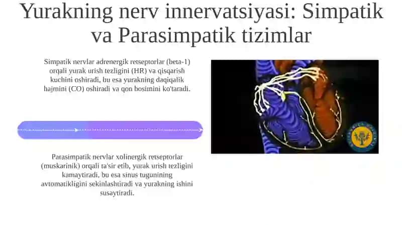 Yurak faoliyatini boshqarish 4
