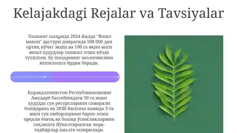 Tahdidlar va Muammolar 4