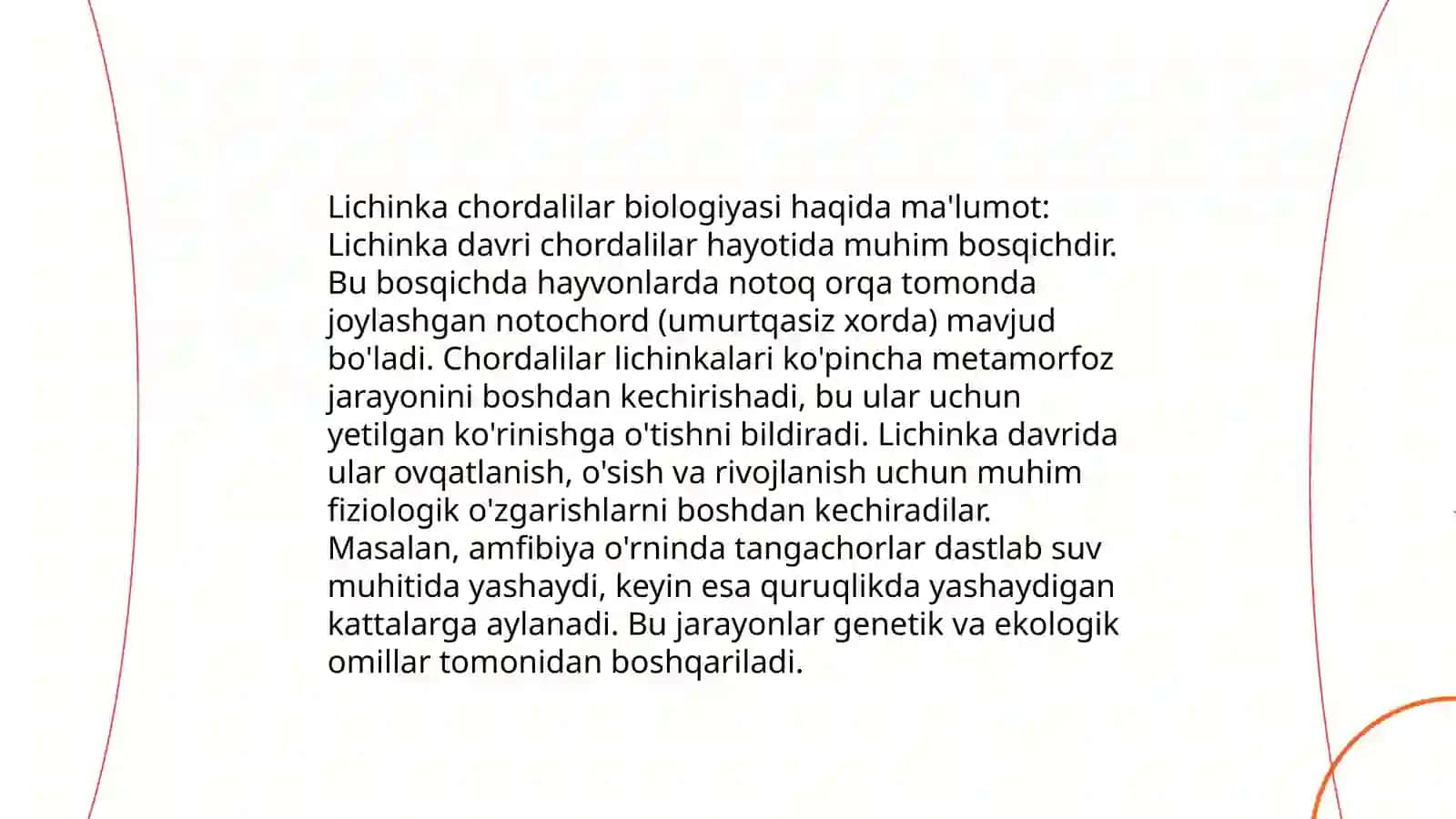 Lichinka xordalilar anatomiyasi 4