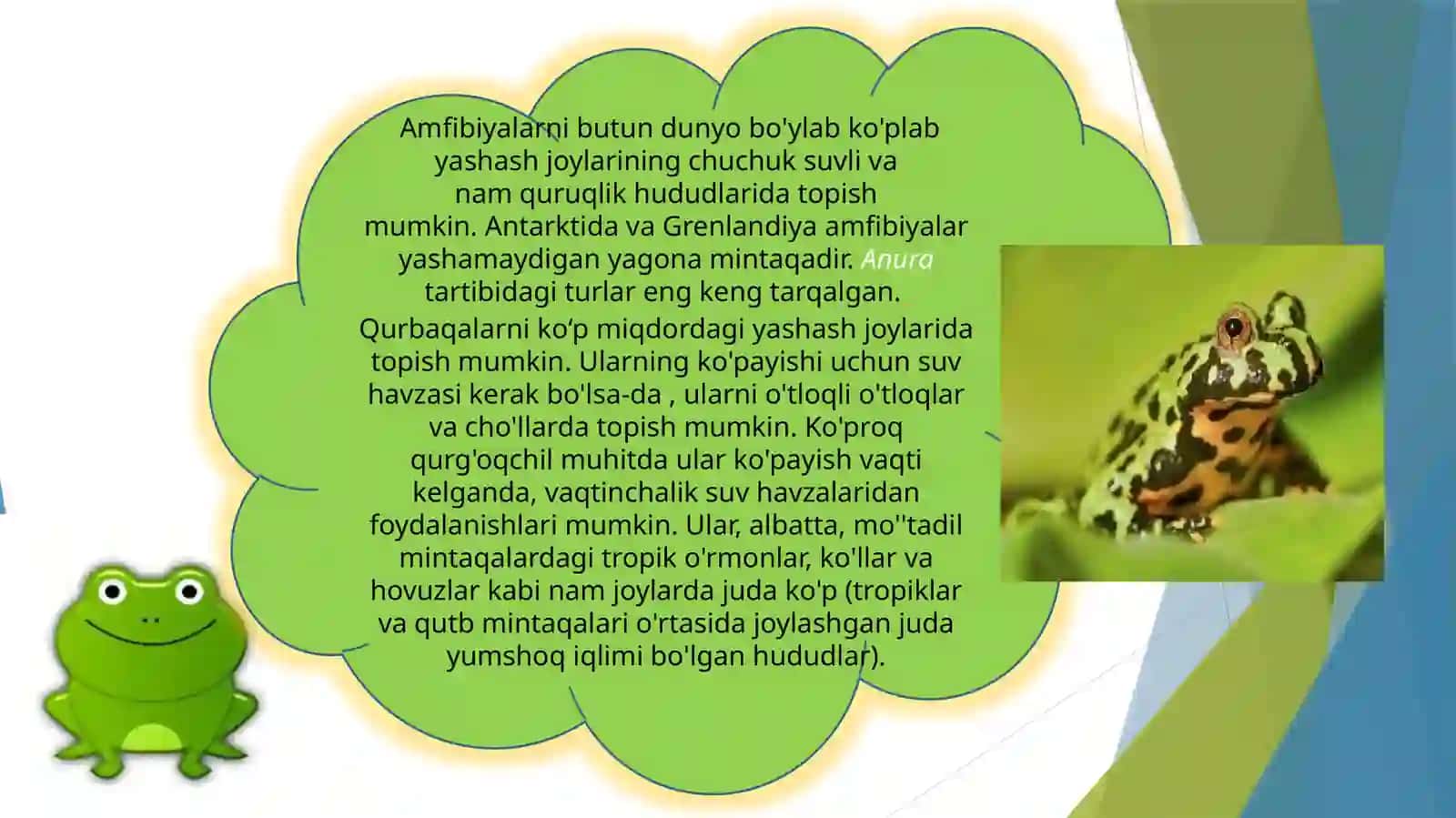 Amfibiyalar 4