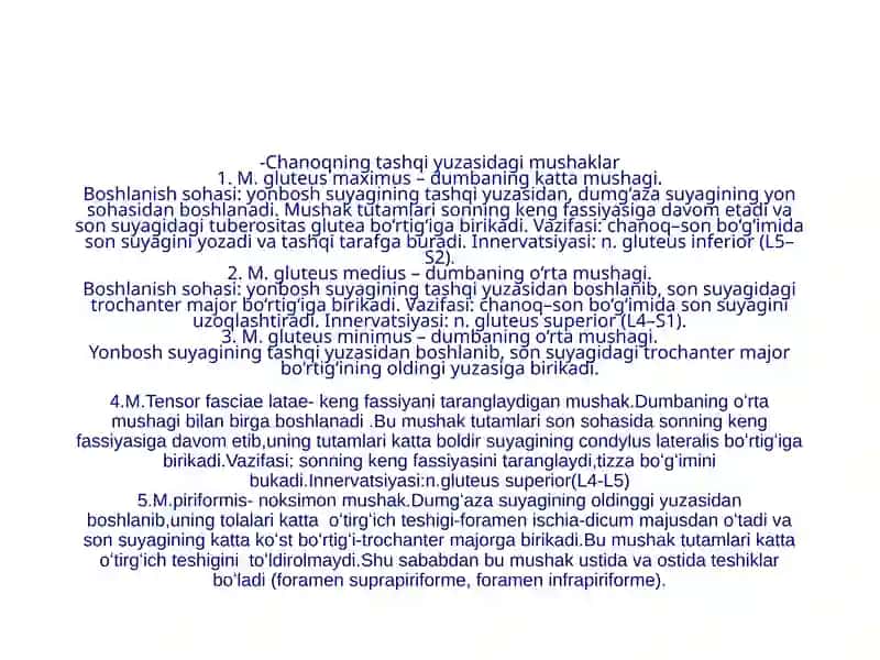 Oyoq, son, chanoq mushaklari 4