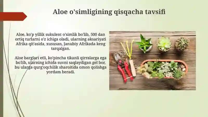 Aloeo'simligining gullash va changlanishini o'rganish metodi 4