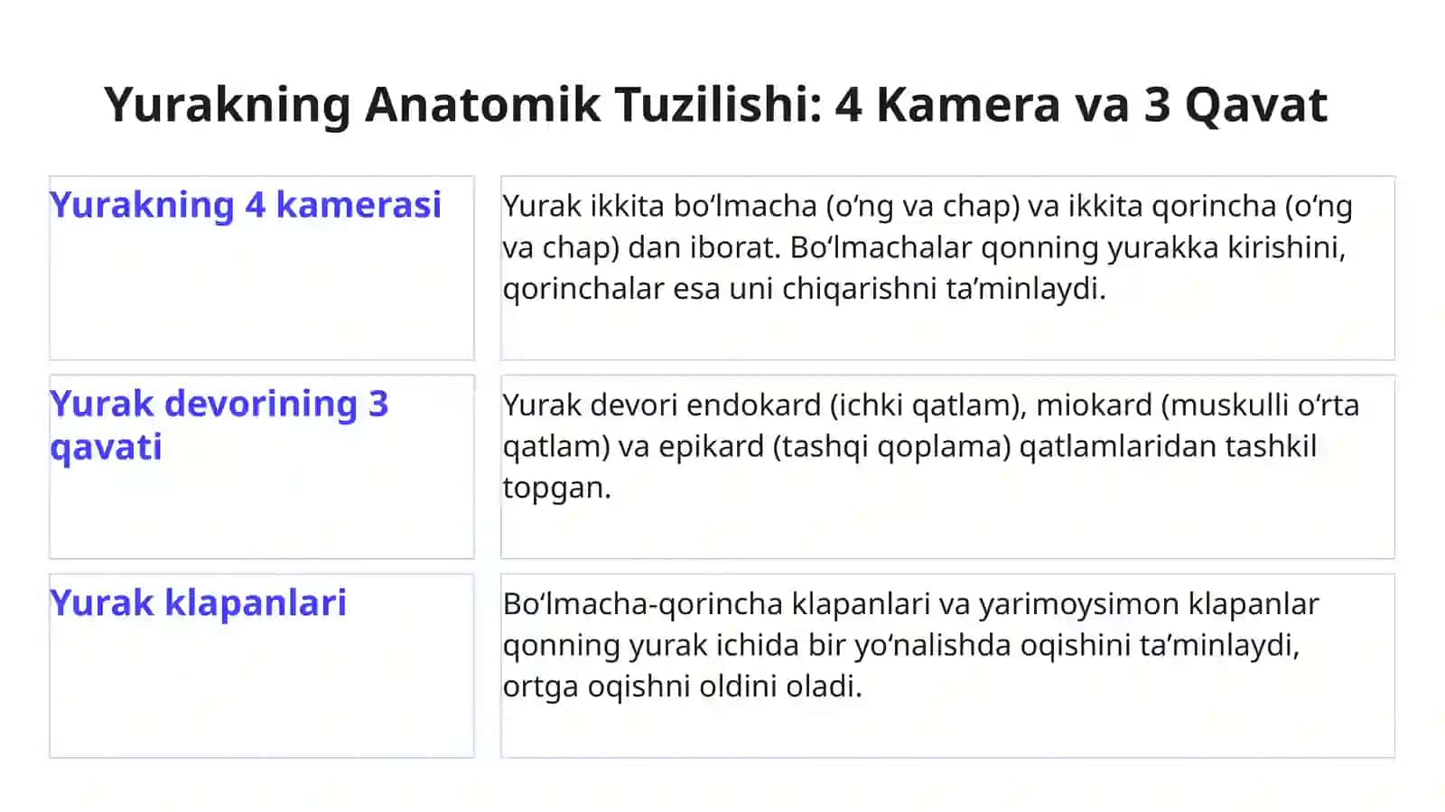 Yurak Qon Tomirlar Rentgen Anatomiyasi 4