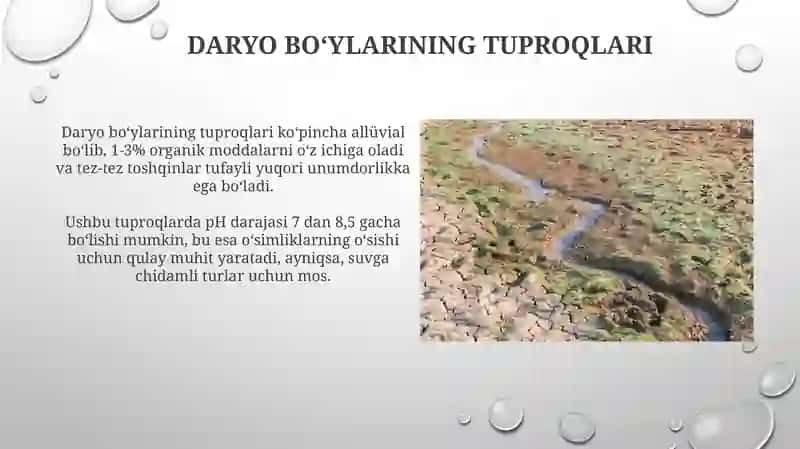 Quruq dasht zonasining tuproqlari 4