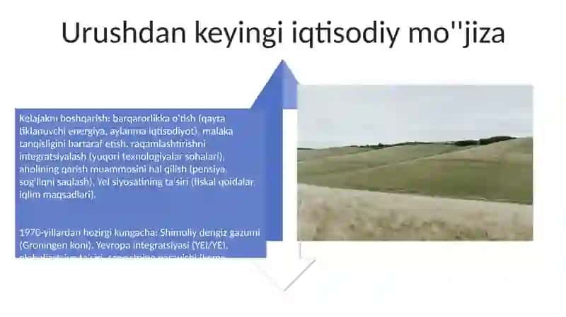 Gollandiya yangiliklari 4
