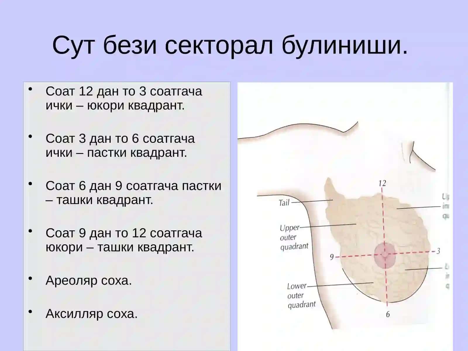 Urologiya va Onkologiyakafedrasi 4