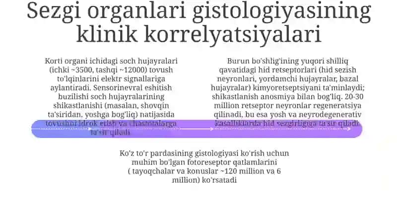 Burun va Tilning Gistologiyasi 4