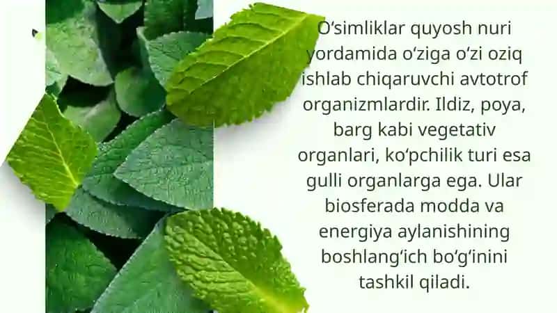 O‘simlik turkumlari va ularning tabiiy joylashishlari 4
