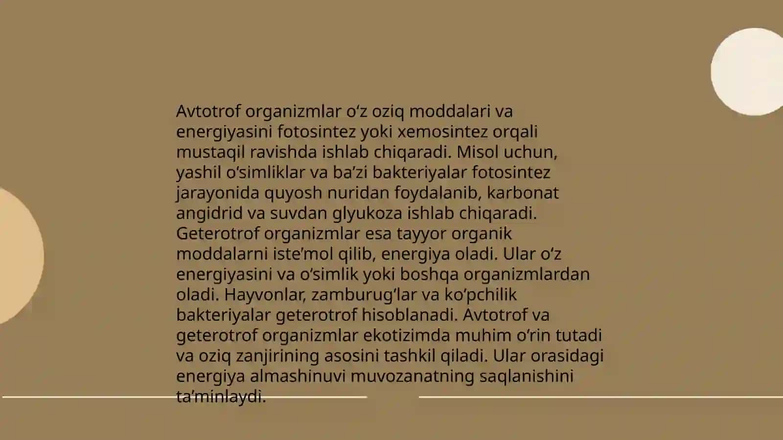 Oziq zanjiri va oziq tóri 4