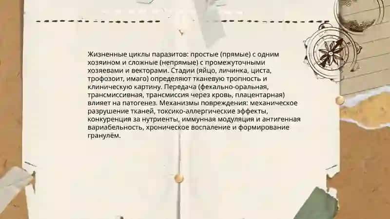 Медицинская паразитология 4