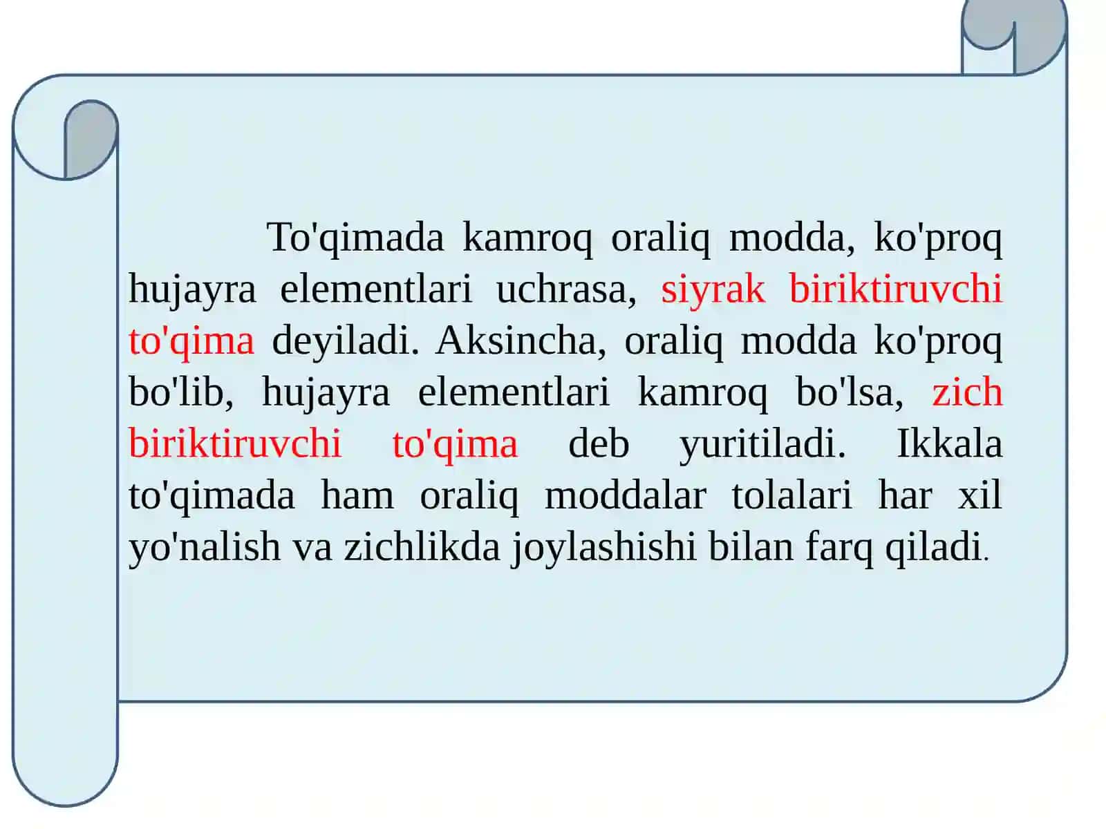 Biriktiruvchito'qimalar 4