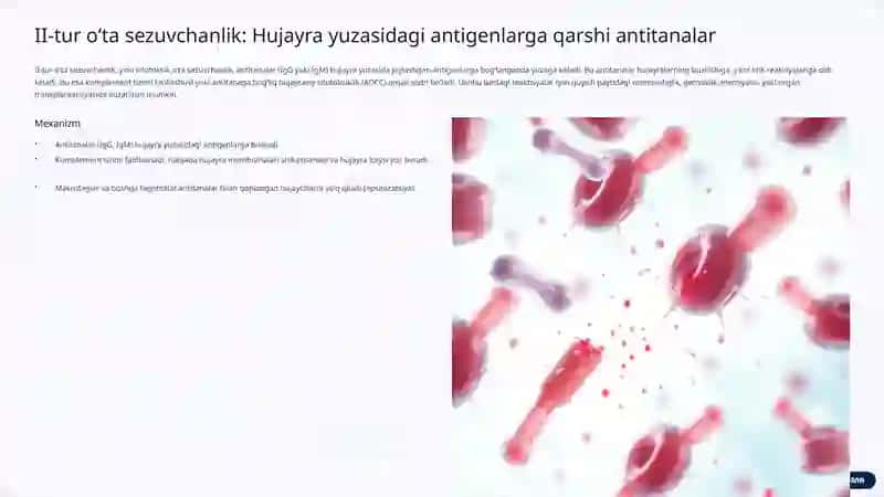 Oʻta sezuvchanlik: Immun tizimining ortiqcha javoblari 4