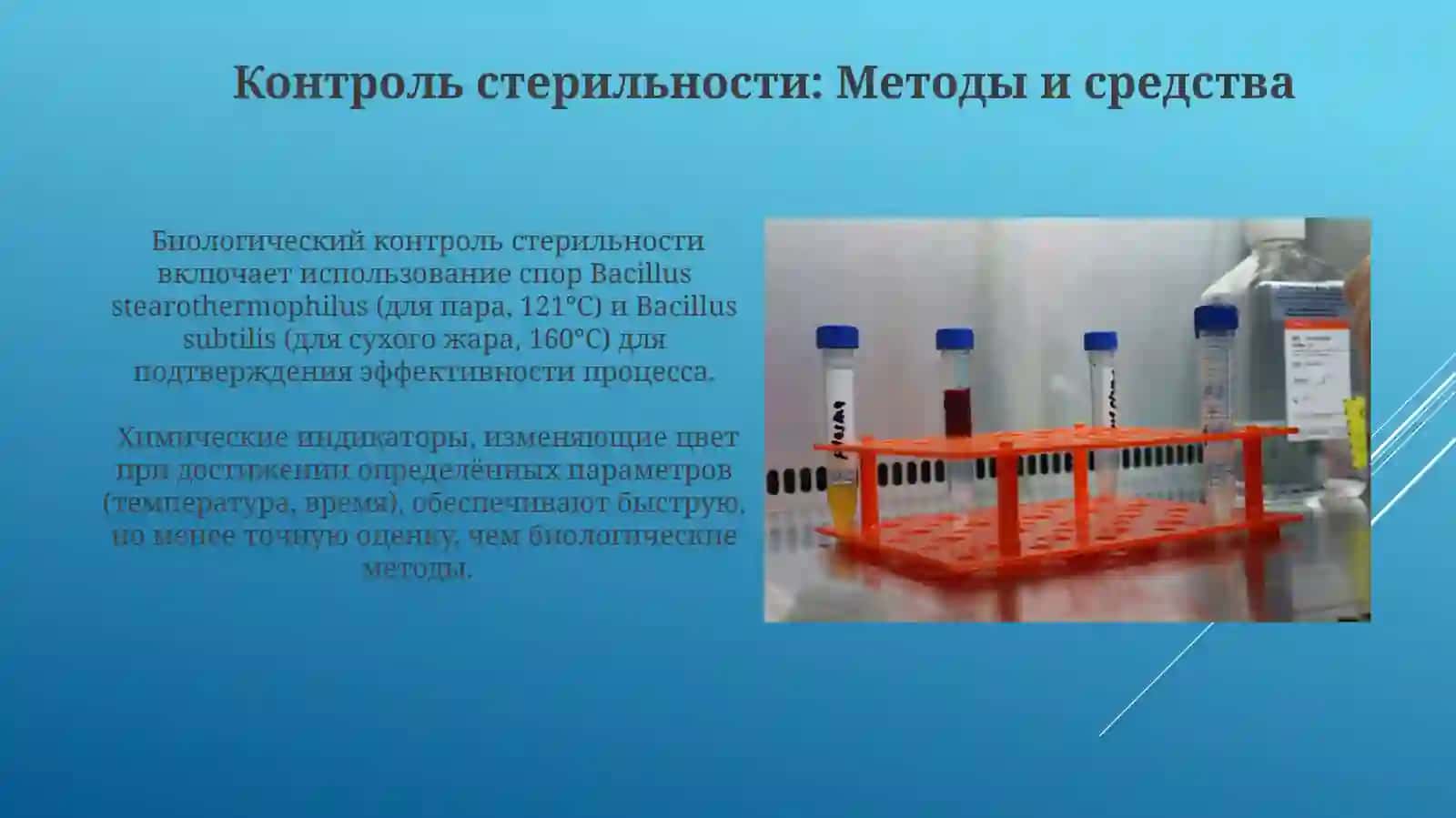 Бактериологик тахлилнома 4