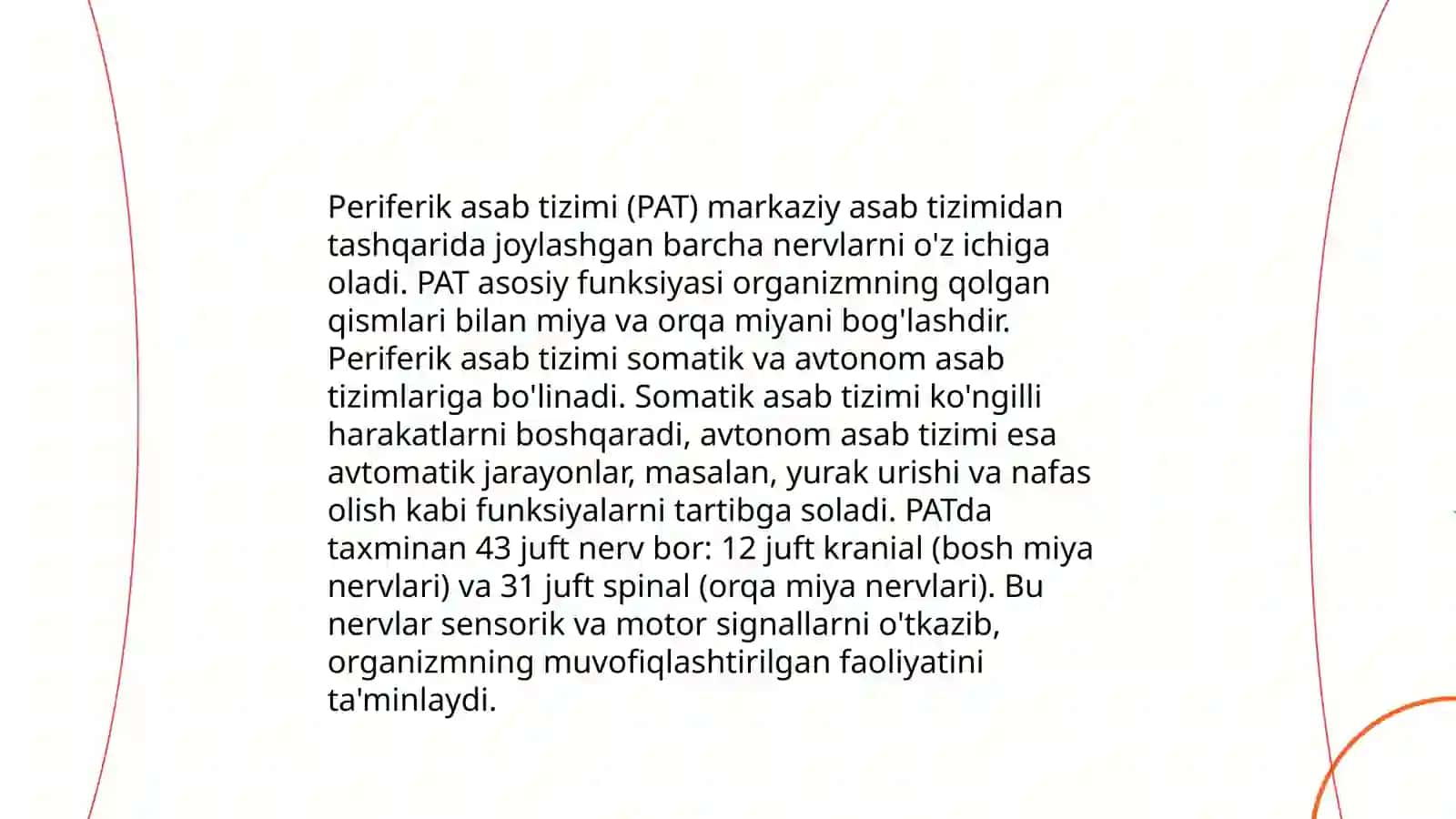 Nerv sistemasi 4