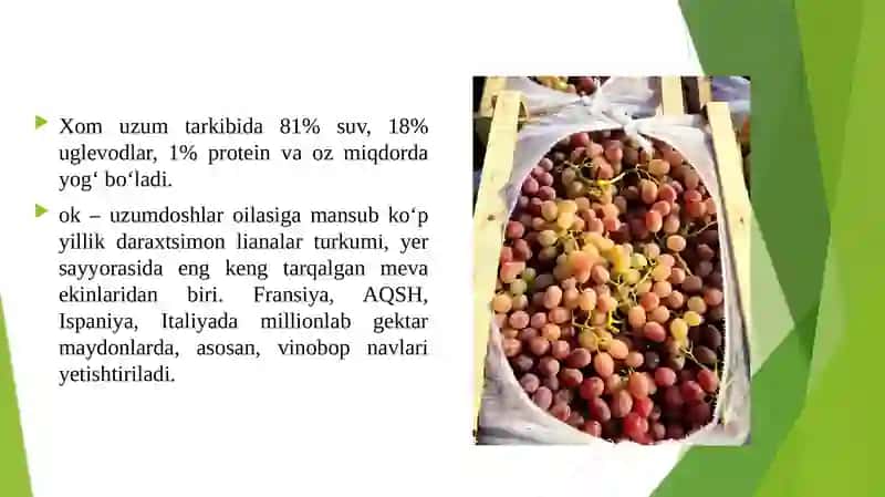 Uzum mevasi haqida 4
