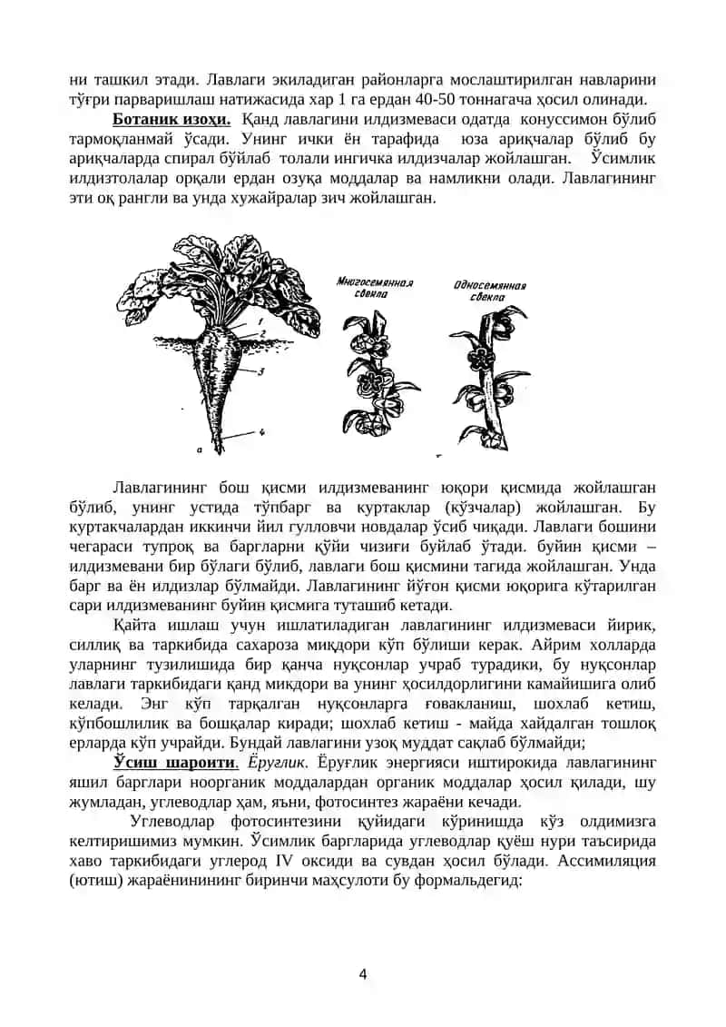 Қанд технологияси 4