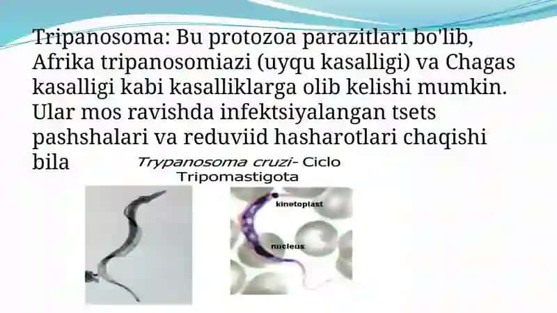 Tibbiy biologiya fanidan 4