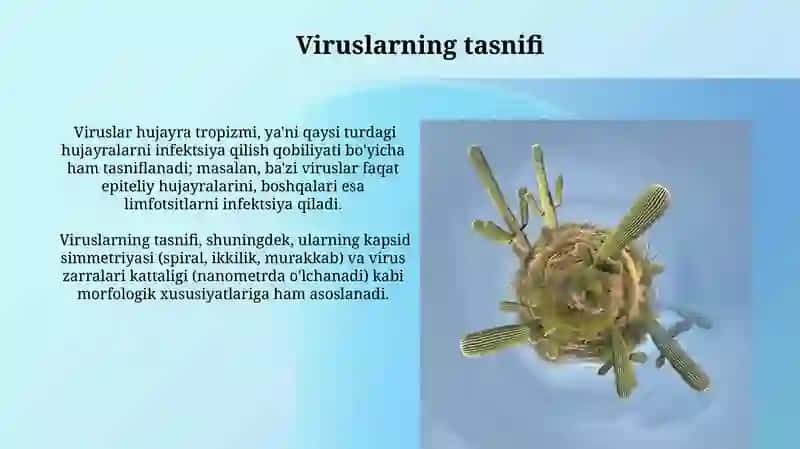 Viruslarning kopayishi 4