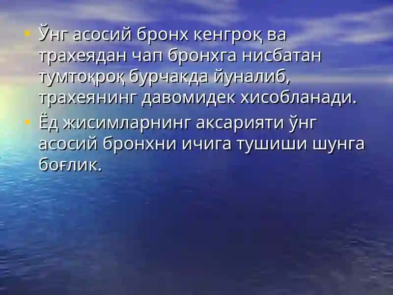 Ўпка бактериал деструкцияси 4