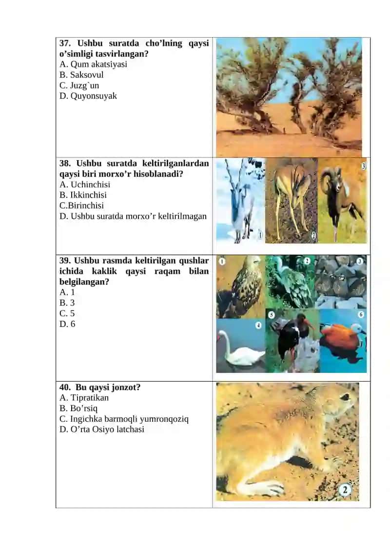 7-SINF PISA TESTLAR 4