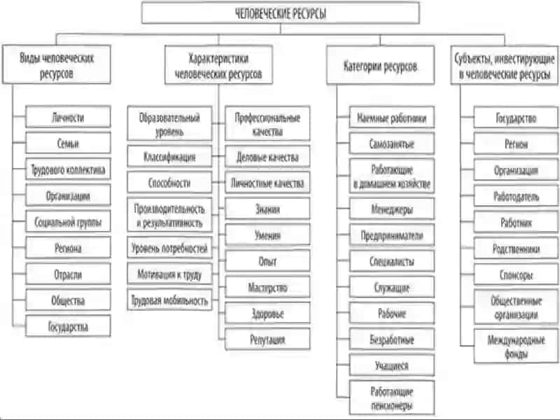 MENEJMENTASOSLARI INSON RESURSLARINI BOSHQARISH 4