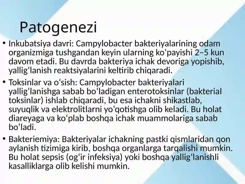 Kampliobakteriozlar 4