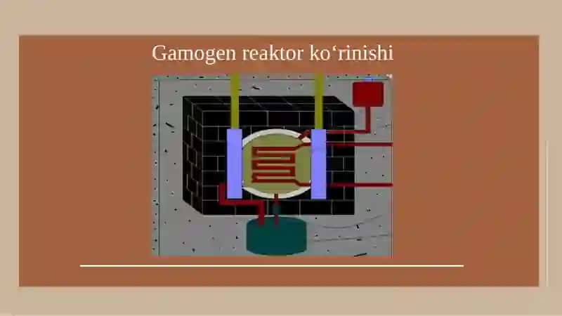 GAMOGEN KIMYOVIY REAKTORLARNI MODELLASHTIRISH 4