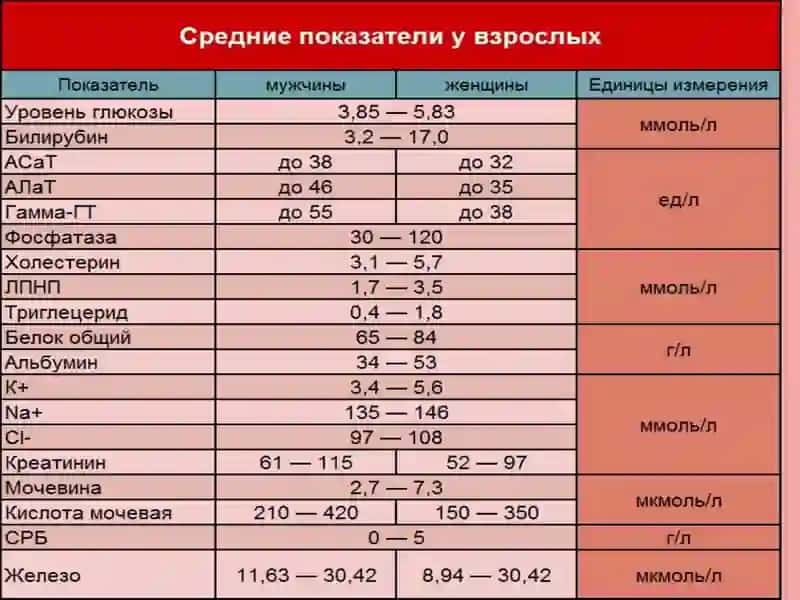 Қоннинг биохимиктекширув натижалари 4