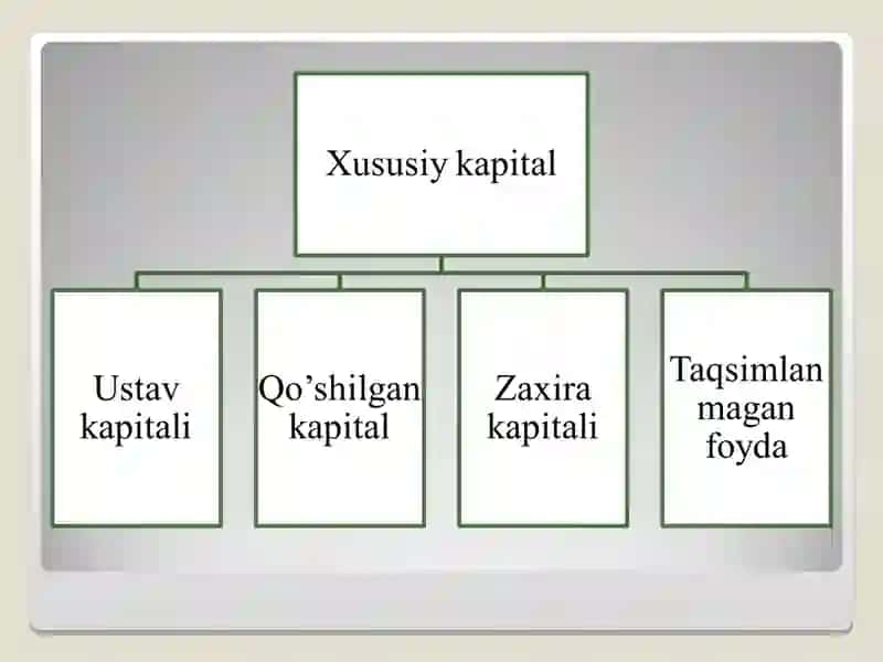 Xususiy kapital shakllanishi va ta'sischilar bilan hisoblashishlar audit 4