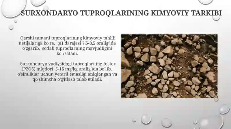 Surxandaryo tuproqlari 4