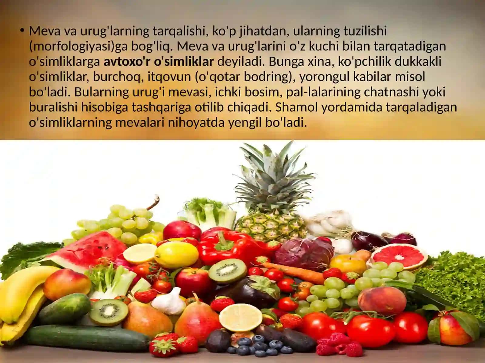 6-sinf Botanika Meva va urug'larning tarqalishi 4