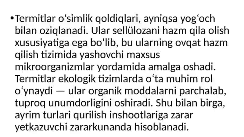 Termitlar 4