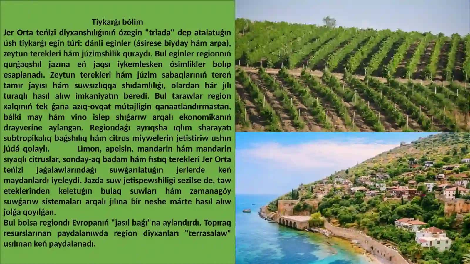 Jer Orta teńizi boyı diyxanshılıǵı 4