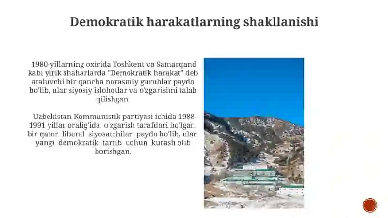 1989 йилдаги ўзбек тилининг давлат тили сифатида эълон қилиниши 4