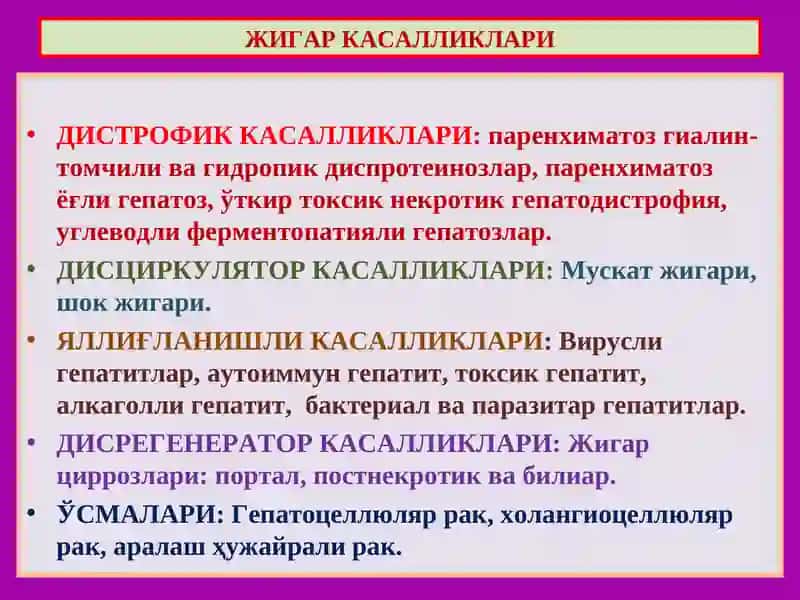 Жигар Касалликлари 4
