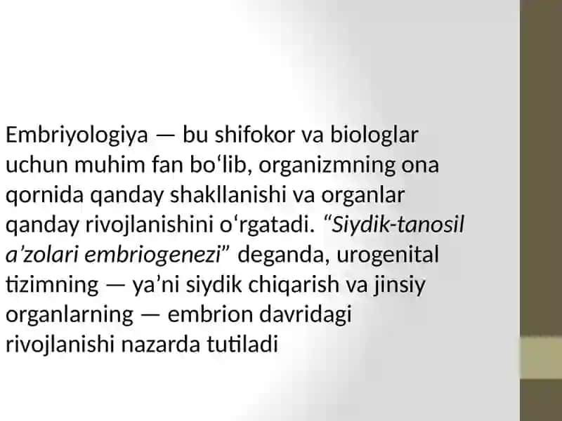 Siydiktanosilaʼzolariembriogenezi 4