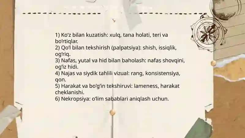 Klinik diagnostika tarixi hayvonlarda 4
