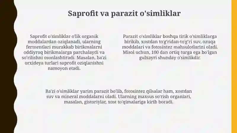 O'simliklarning Geteratrof Oziqlanishi 4