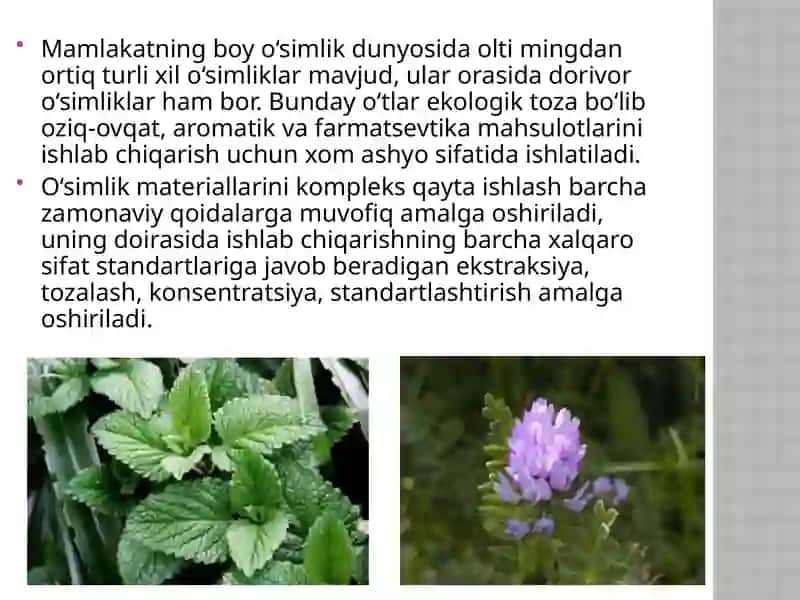 Oʻzbekistondagi foydali o’simliklar 4