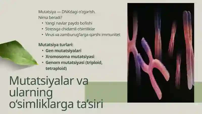 O'simlik Generatsiyasi 4
