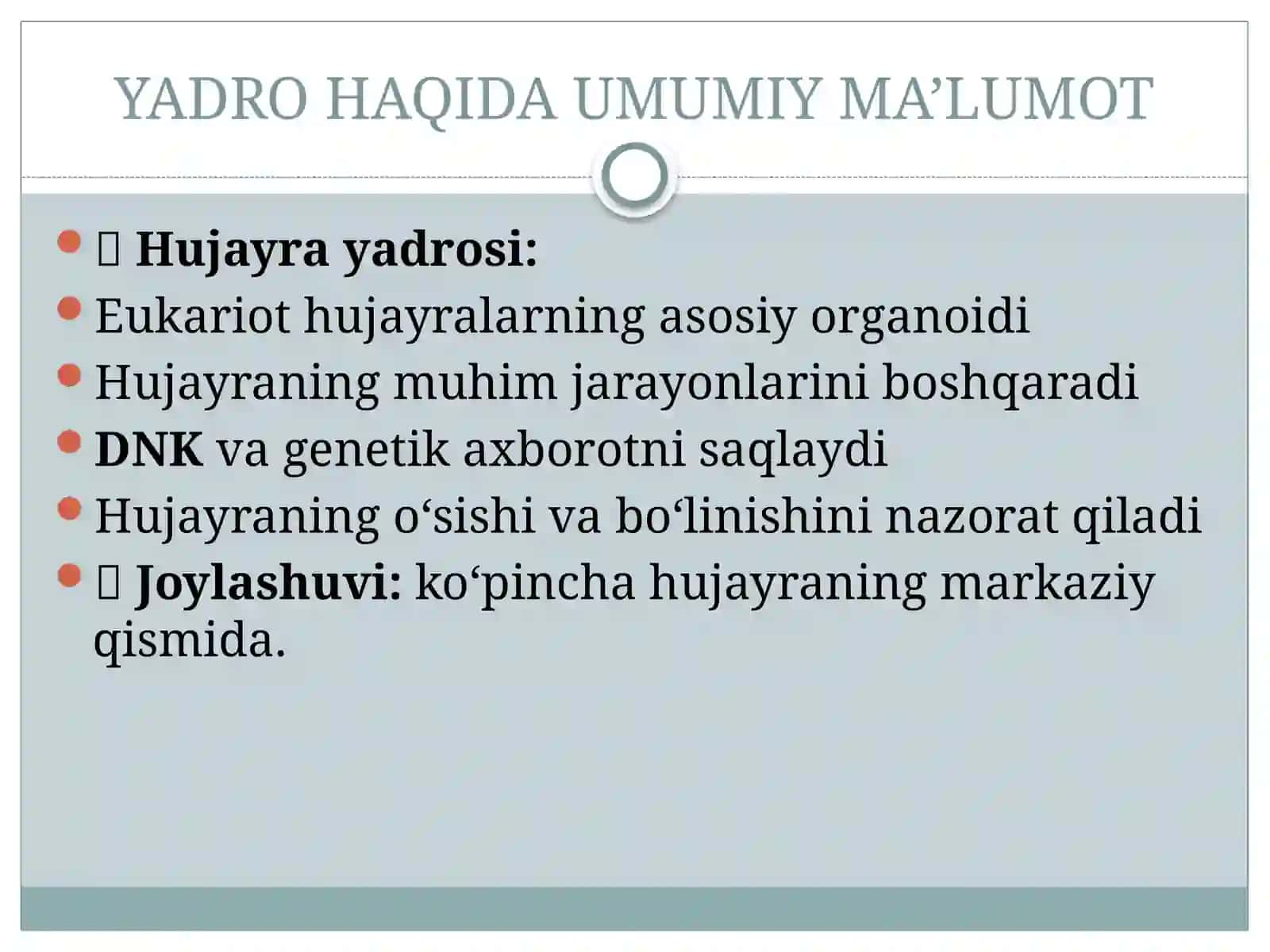 Hujayrasikli, mitoz 4