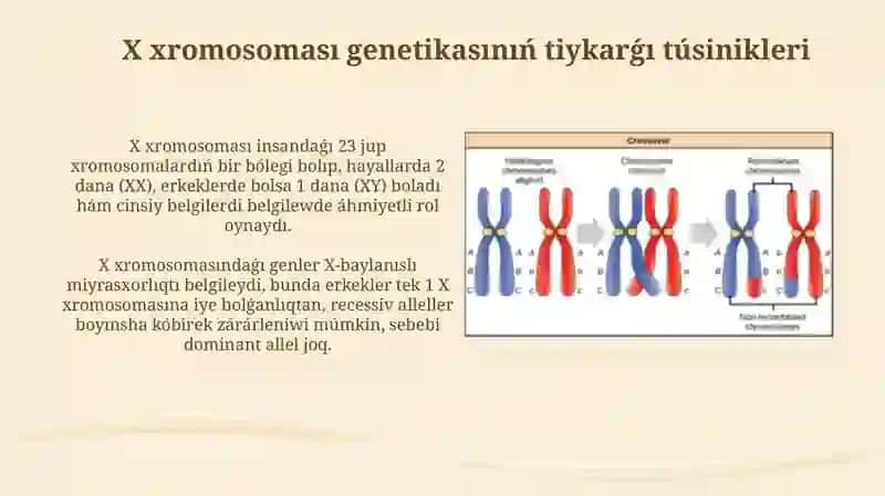 X xromosoma menen baylanıslı miyrasxorlıq 4