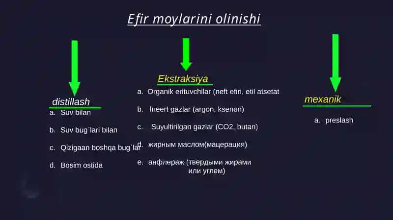 EFIR MOYLARI 4