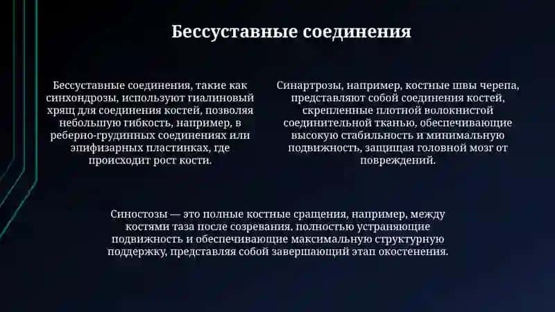 Анатомиясуставов 4