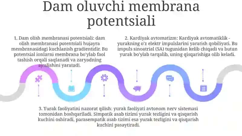 Yurak Avtomatizm Va Uning Boshqarilishi 4
