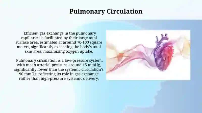 Cardiovascular Health and Disease 4